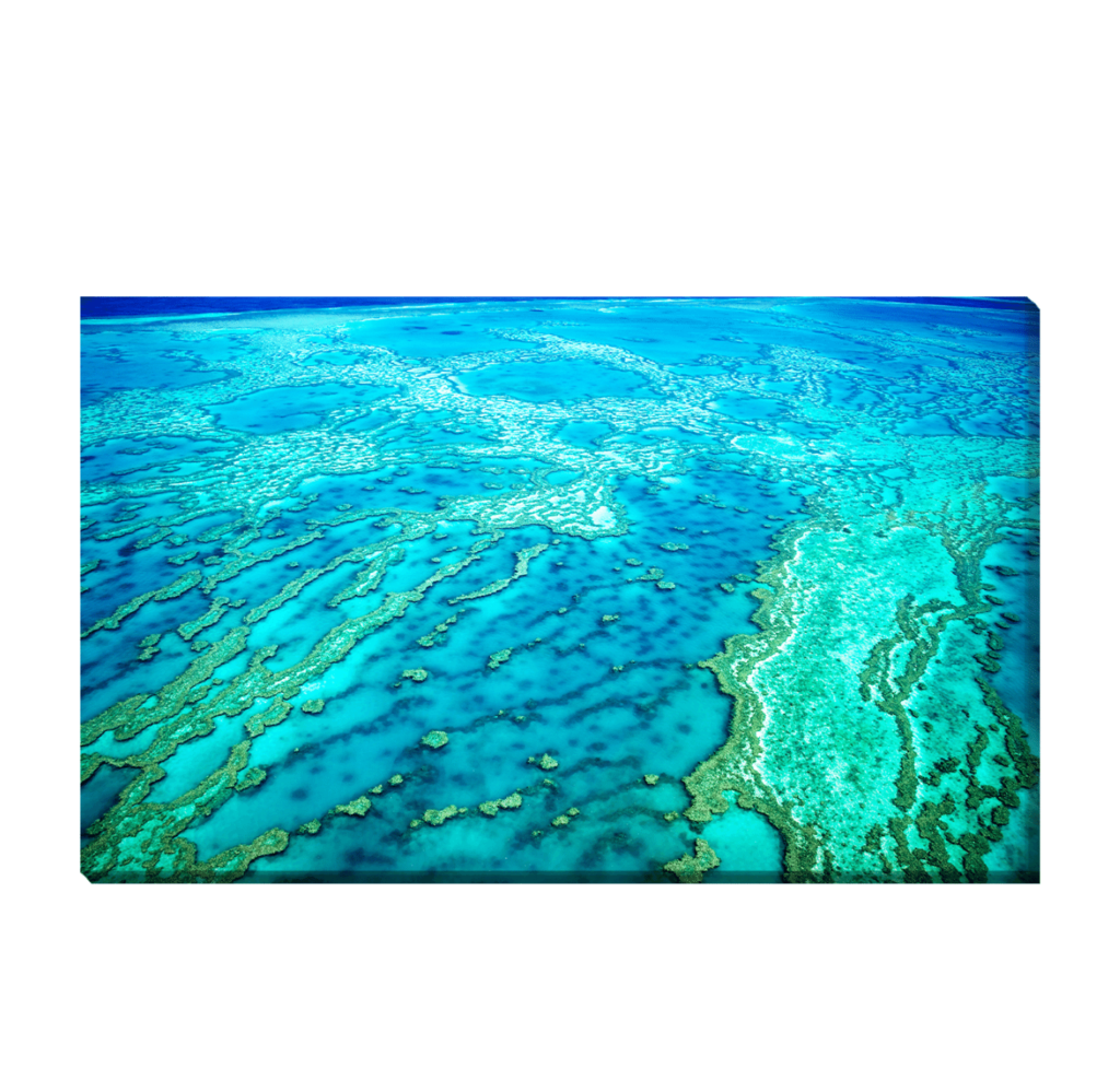Gran Barrera de Coral
