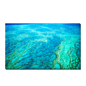 Gran Barrera de Coral