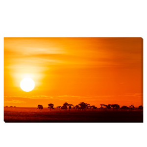 Paisaje con salida del sol en la sabana en Kenia