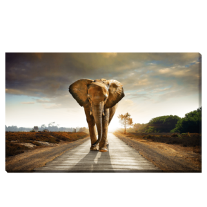 Elefante caminante único