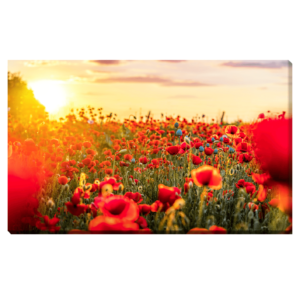 Flores Rojas