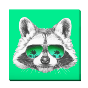 Mapache con gafas de sol espejo