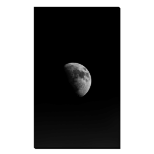 Media Luna
