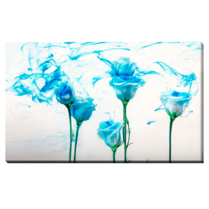 Flores Bajó El Agua