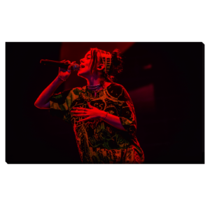 Billie Eilish Concert Setlist en el Lowlands festival