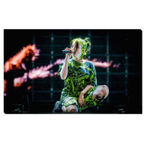 Billie Eilish Concert Setlist en el Lowlands