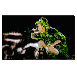 Billie Eilish Concert