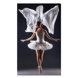 Bailarina en estudio